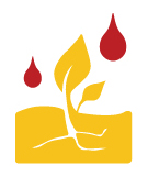 Thuốc kích thích tăng trưởng